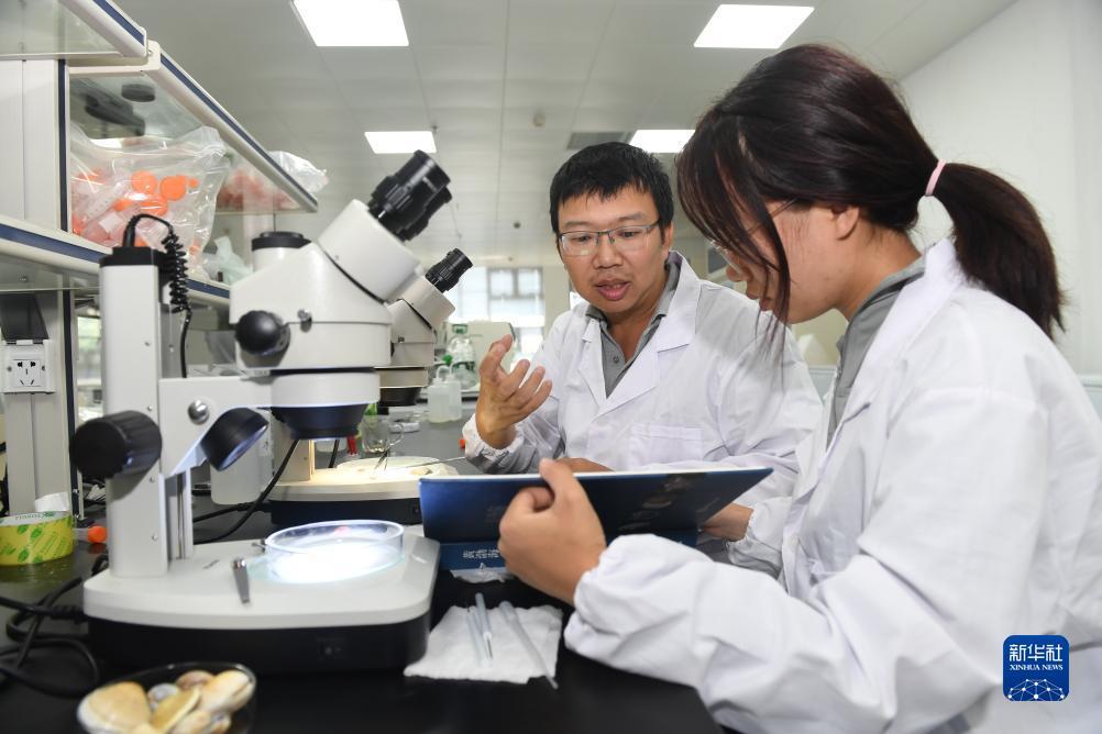 mg游戏平台